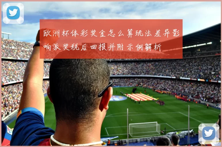 欧洲杯体彩奖金怎么算玩法差异影响派奖税后回报并附示例解析