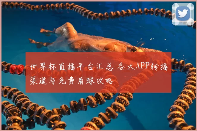 世界杯直播平台汇总 各大APP转播渠道与免费看球攻略