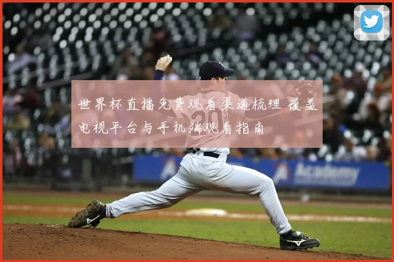 世界杯直播免费观看渠道梳理 覆盖电视平台与手机端观看指南