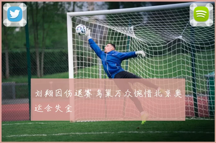 刘翔因伤退赛鸟巢万众惋惜北京奥运会失金